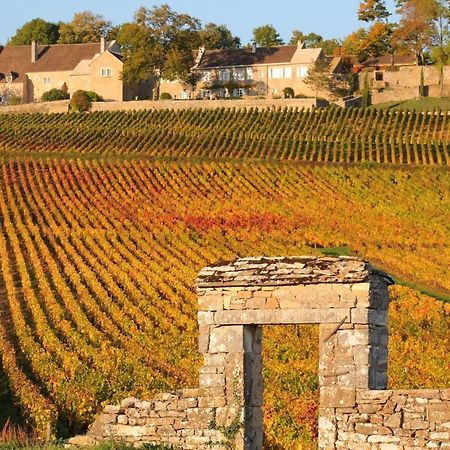 Le Nid Bourguignon Otel Chalon-sur-Saône Dış mekan fotoğraf