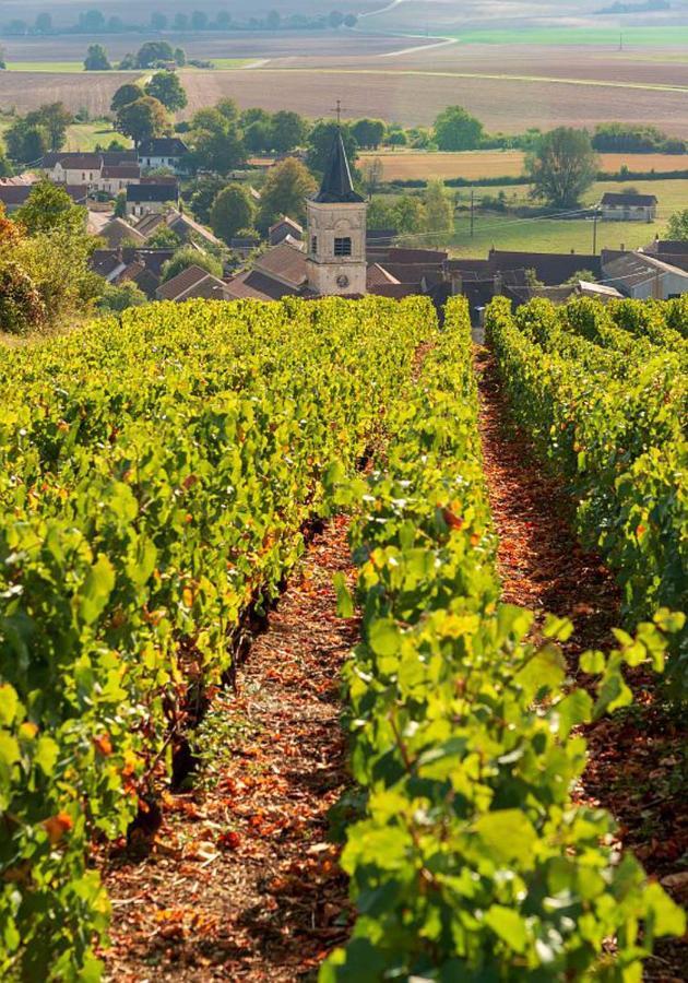 Le Nid Bourguignon Otel Chalon-sur-Saône Dış mekan fotoğraf