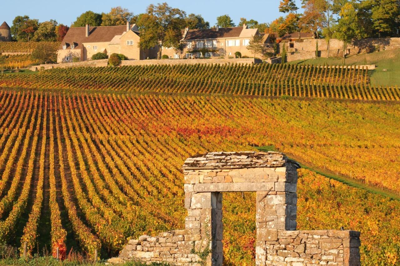 Le Nid Bourguignon Otel Chalon-sur-Saône Dış mekan fotoğraf